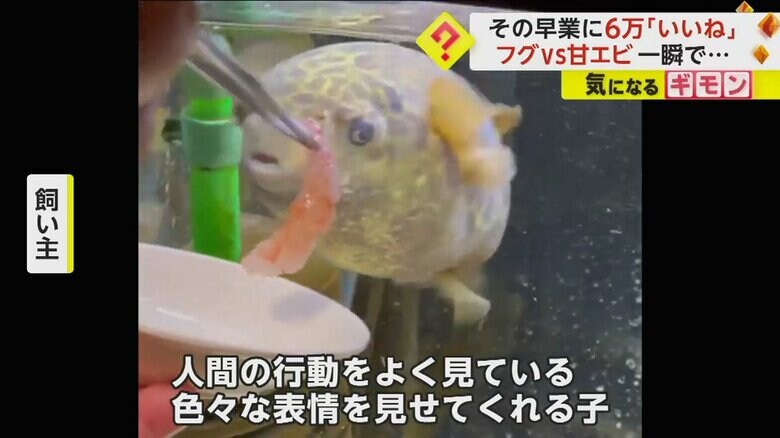 （ぶるーへゔんさん）