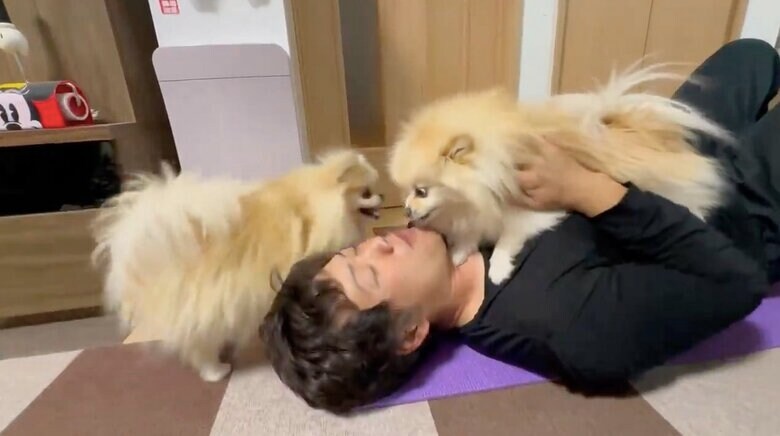 左：近寄ってきたクララちゃん（提供：愉快な3姉妹ポメラニアンちゃんねるさん）