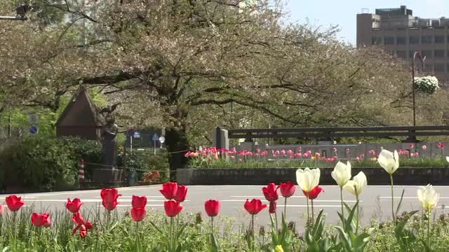 富山県内沿岸部に強風注意報　夕方まで強風に注意を