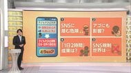 16歳未満禁止に？世界で広がる子どものSNS規制　日本は慎重姿勢　専門家「子どもだけの問題ではない」