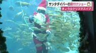 サンタダイバーの餌付けショー　きょうはクリスマスイブ　下田海中水族館