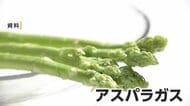 農家の同業トラブルか　農業用タンクに“除草剤”混入させアスパラガス枯れる　44歳男を逮捕　佐賀