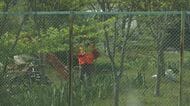 「クマが店舗兼住宅の敷地にいる」レストラン敷地から周辺の野菜直売所へ　体長約1メートルのクマを確認　麻酔銃により捕獲を検討　長野・原村