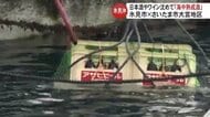 「氷見・大宮海中熟成絆酒」と銘打ち富山と埼玉の共同プロジェクト始動　富山湾に日本酒やワインを沈める