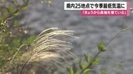 「きょうから長袖を着ている」鹿児島県内25地点で今季最低気温に