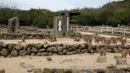 小豆島の観光名所「お猿の国」大阪の会社に事業譲渡　施設周辺のニホンザル群は県の天然記念物【香川】