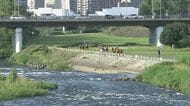 札幌市豊平川で2人が流される事故が発生 自力で岸へ上がり命に別条なし 男女6人で川遊びをしていた際の出来事