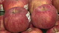 青森の海の幸や山の幸が大集合!生産量日本一のリンゴも!マルナカで青森フェア【岡山・香川】