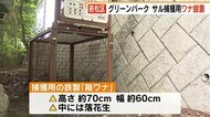 北九州市若松区のグリーンパーク サル捕獲用ワナ設置