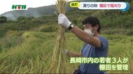 サブスクでいつでも農業体験 棚田で稲刈りを楽しむ【長崎県佐世保市】