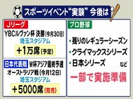 W杯最終予選でも…スポーツ観戦の実証実験『ワクチン・検査パッケージ』プロ野球では日本S等で実施か