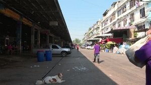 タイで大規模クラスター 市場関係者ら548人感染