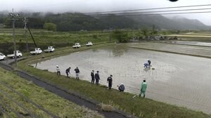 コロナに負けず「ガンバロウ」 田んぼアートの田植え~福井