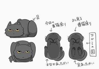 モフモフの四角い箱 いや猫 奇跡の1枚 に大反響 どんな体勢か聞いてみたら判明した