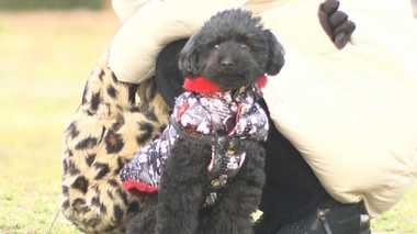 愛犬にダウンジャケット…ペットに「防寒具」は必要か?専門家に聞いてみた。