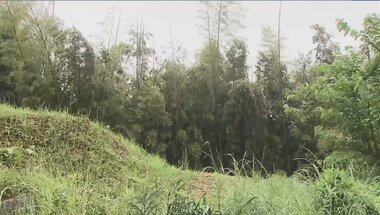 竹林で19歳女性遺体を発見 体には刺された痕 「明るい感じ…」行方不明の1週間に何が