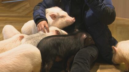 名古屋パルコ東館「ワンラブ矢場動物堂」カピバラなど様々な動物扱う 触れ合いコーナーも