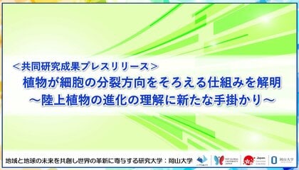 植物が細胞の分裂方向をそろえる仕組みを解明～陸上植物の進化の理解に新たな手掛かり～〔名古屋大学, 岡山大学, 神戸大学〕
