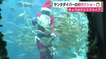 サンタダイバーの餌付けショー　きょうはクリスマスイブ　下田海中水族館