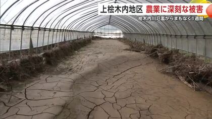 泥に覆われたホウレンソウ…田んぼには大量の石　記録的大雨で被災した仙北市上桧木内地区　農業にも深刻な影響【秋田発】