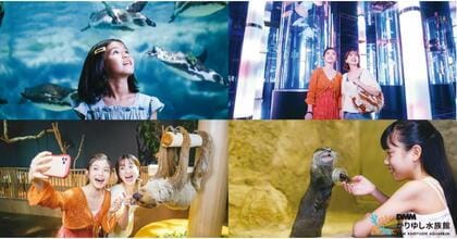 【DMMかりゆし水族館】夏休みの入館者数が過去最高の10万人超えを達成!