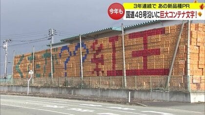 コンテナ3万5000個で作った巨大文字！　「まだまだアピールしたい」新品種“やまがた紅王”を方言でPR【山形発】