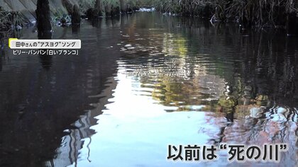 “死の川”の美化活動を20年以上続けた81歳！…清流がよみがえった砂田川【アスヨク！】