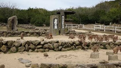 小豆島の観光名所「お猿の国」大阪の会社に事業譲渡　施設周辺のニホンザル群は県の天然記念物【香川】