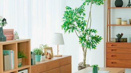 正しい収納ができないと災害に弱くなる…熊本地震を経験した防災収納インストラクターが教える好きな暮らしをあきらめない「減災整理術」