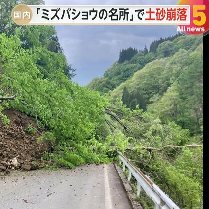 「ミズバショウの名所」で土砂崩れ、林道復旧のメド立たず休園に観光客落胆…観光関係者「紅葉シーズンには再開を」長野市