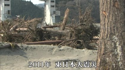震災から11年ぶり海開き 津波と地盤沈下で松7万本と砂浜の9割消失も…街