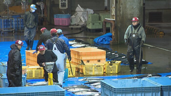 氷見漁港（11月25日）