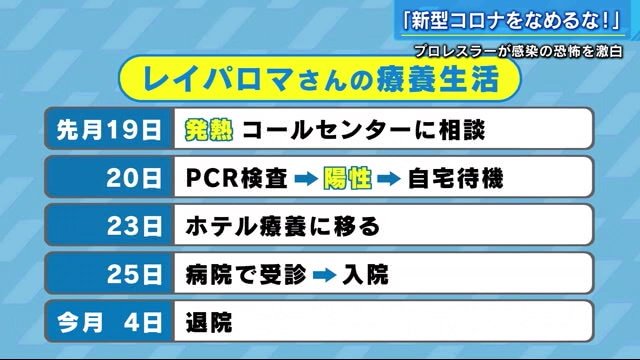 レイパロマさんの療養生活の流れ