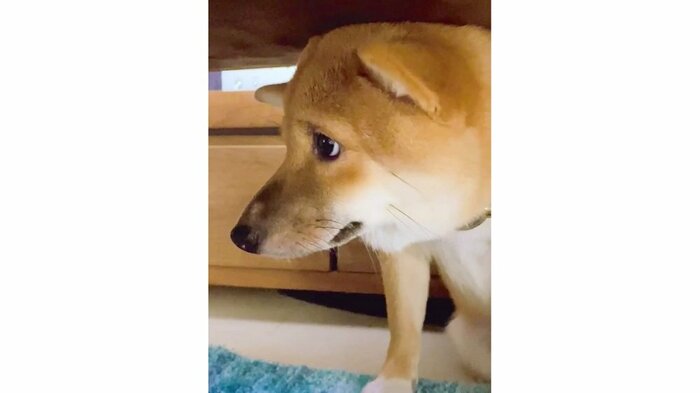 初めての雷体験だったという