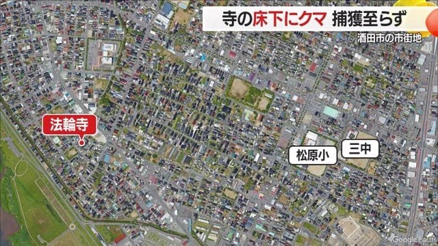 保育園や学校がある市街地・住宅街の真ん中にクマが出没