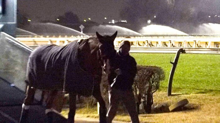 20日夜 東京競馬場に到着したカランダガン