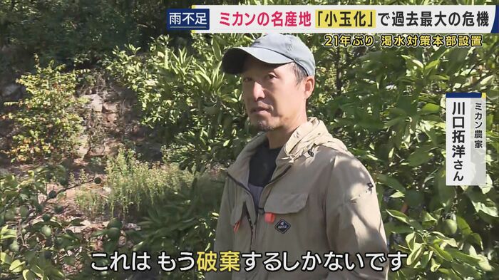 ミカン農家 川口拓洋さん