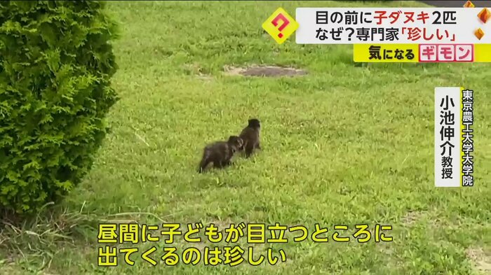 (FNN投稿サイト「ビデオPost」)