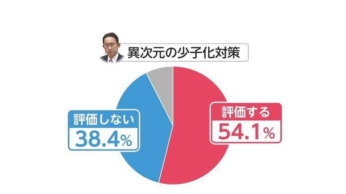 図:4月世論調査 「次元の異なる少子化対策への評価」