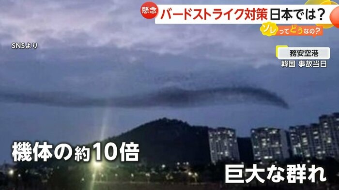 事故当日に務安国際空港周辺で撮影された写真