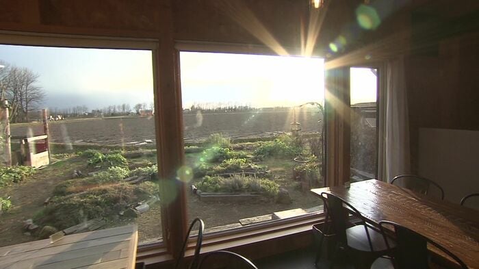 お店からの田園ビュー