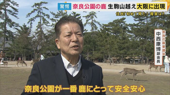 「奈良の鹿愛護会」の中西康博副会長