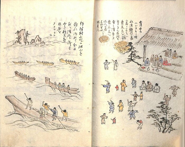 「南島雑話」ハレコギの図(奄美市立奄美博物館所蔵)