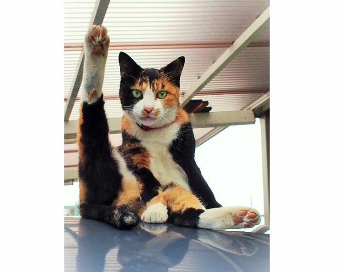 19歳のナツコ