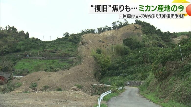西日本豪雨から6年　山がえぐれた土砂災害と向き合うミカン農家　「再編復旧」で後継者と未来を見据える｜FNNプライムオンライン