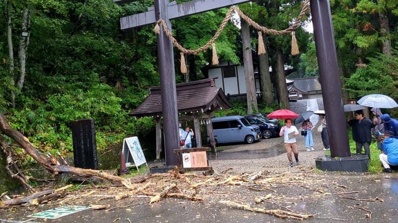 「雷がピカッと光り、ドシャーンと音が」観光地の戸隠神社で倒木　オーストラリア国籍の48歳女性が重傷　当時、付近では土砂降りの雨で雷が　倒木は落雷の影響か　長野市｜FNNプライムオンライン