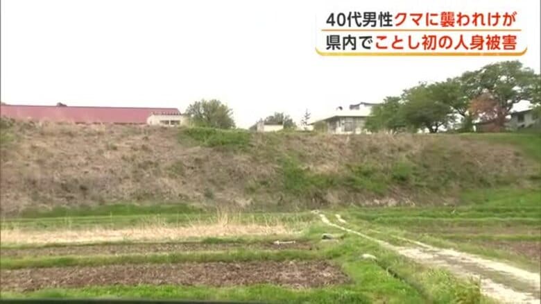 田んぼでクマに襲われ40代男性けが　県内で今年初めての人身被害　近くに箱わな設置　秋田・由利本荘市｜FNNプライムオンライン