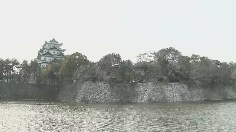 【異変】名古屋城の石垣が“真っ白”に　原因は大量の「鳥のふん」　貴重な文化財で洗うこともできず｜FNNプライムオンライン