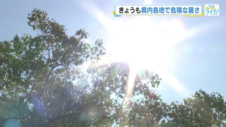 【熱中症】広島県内１７人が救急搬送　大竹市コンビニ買い物７０代男性　呉市８０代女性など　５日｜FNNプライムオンライン