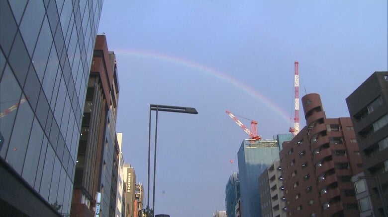 東京都心に巨大な虹が現れる「幸運おすそわけ」SNSに大量の虹画像が｜FNNプライムオンライン
